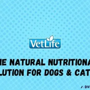 Buy Farmina vet life - Healthy Cat and Dog Food Online - Pawrulz