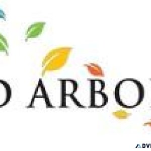 Arbor Spirit Tree Care