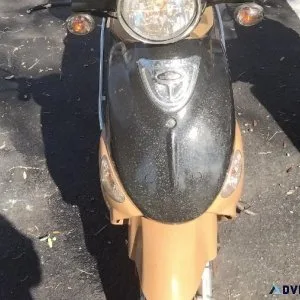 2009 Genuine Scooter Company