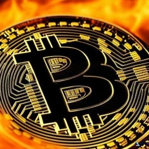 Effortlessly win bitcoins with free software.