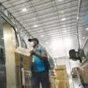 Amazon Delivery Driver