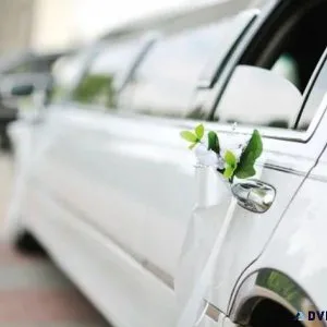 Limo Airport Transfers