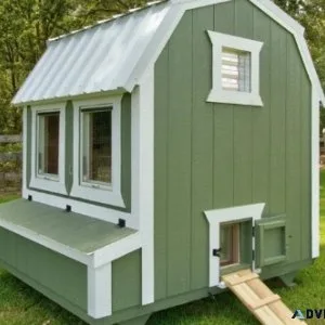 6X6 Barn Style Chicken Coop