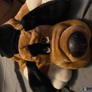 Stuffed animal dog