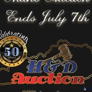 Online Auction