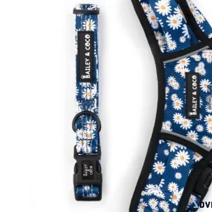 Premium Comfort for Your Furry Companion with Our Dog Collar