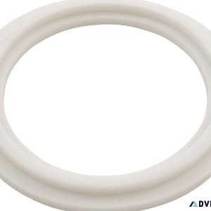 Waterway Plastics 2&Prime Heater O-RingGasket