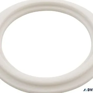 Waterway Plastics 2&Prime Heater O-RingGasket