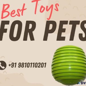 Best Toys for Pets - Your Pet s Joy Our Priority