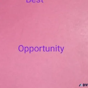 Earn Money Online Without Investment