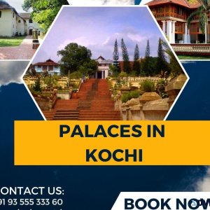Best Places To Visit In Kochi Book Now