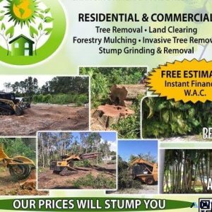 STUMP OR TREE REMOVAL LAND CLEARING FREE ESTIMATES