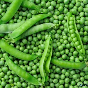 Canadian Peas Exporter and Supplier
