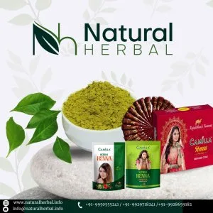 Best natural henna powder manufacturer and exporter in india