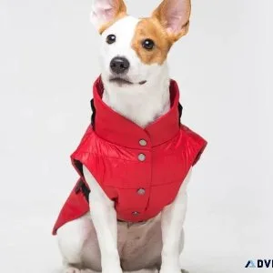 What s in your Dogs closet