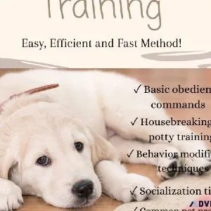 pet care and Training