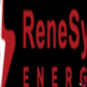 ReneSys ENERGY Inc