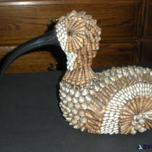 Seashell Duck