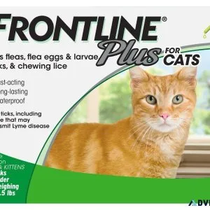 Buy Frontline Plus topical solution For Cats at Best Price