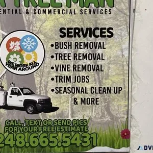 Tree removal