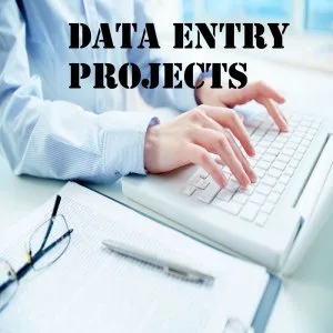 Data entry projects provider in noida