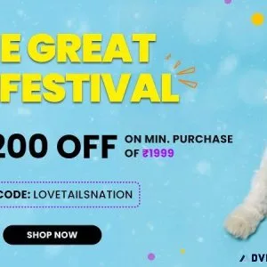 Buy Premium Pet Supplies for Dogs  Online In India Tails Nation