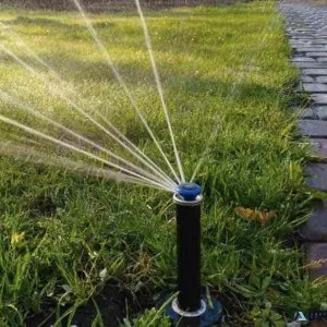 LANDSCAPE SERVICES