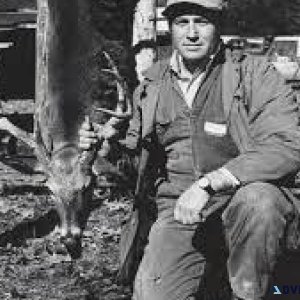 Visit Our Best Deer Hunting Lodge In Alabama