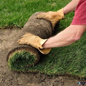 Sod Installers Hamilton - Monarch Landscaping