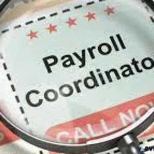 Payroll Coordinator