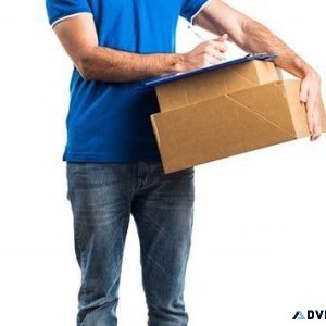 Delivery or courier rider needed