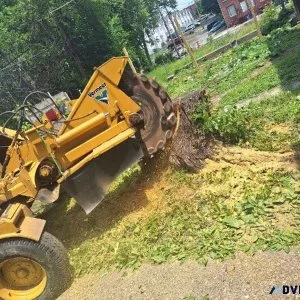 Stump grinder Vermeer 2465