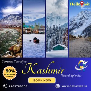 Best places to visit in kashmir in february