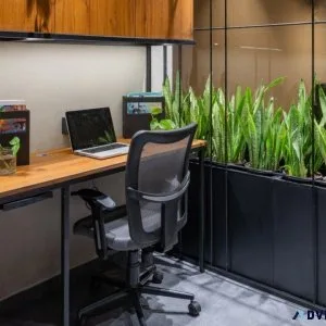 The Art of Coworking Space in Chandigarh - Code Brew Spaces