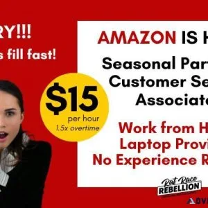 Work with Amazon  From Home