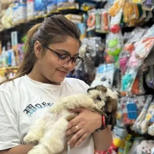 Best dog for sale in noida - amaira pet shop
