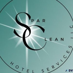 Home Cleaning and Organizing