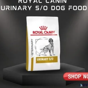 Royal Canin Urinary SO Dry Dog Food-Flat 12%OFF Shop on Animeal 