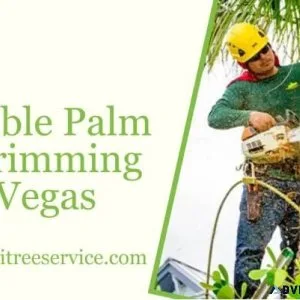 Affordable Palm Tree Trimming Las Vegas