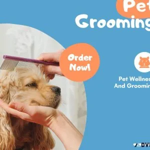 Enhance Your Dog s Grooming Routine with Top-Quality Equipment