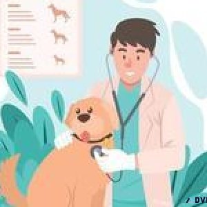 Top Veterinary Clinic Serving Sector 137 Noida