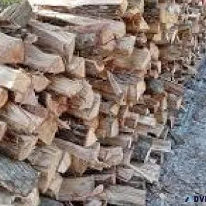 Selling firewood