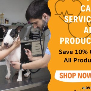 Lypex for Dogs 60 caps - Flat 10% OFF - Free Shipping - Animeal