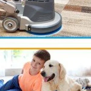 Santa Fe Carpet Cleaning