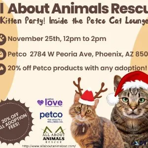 Kitten PartyThe Lowest Adoption Fees of the Year