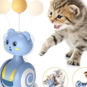 Adorable Pet Clothing Store