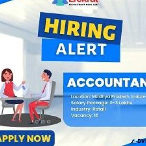 Accountant Job At Vishal Consultants