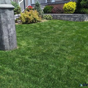 Lawn maintenance