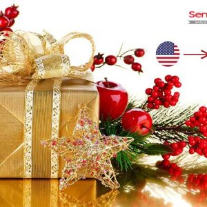 Send gifts to india from usa