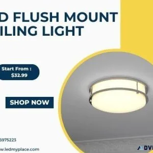 Sleek LED Flush Mount Ceiling Lights